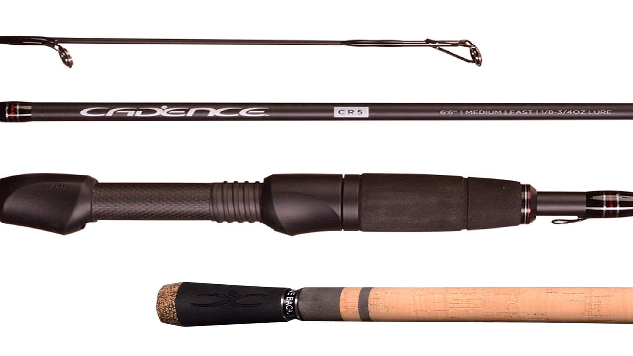 The Best Fishing Rods | The Active Action | The Active Action