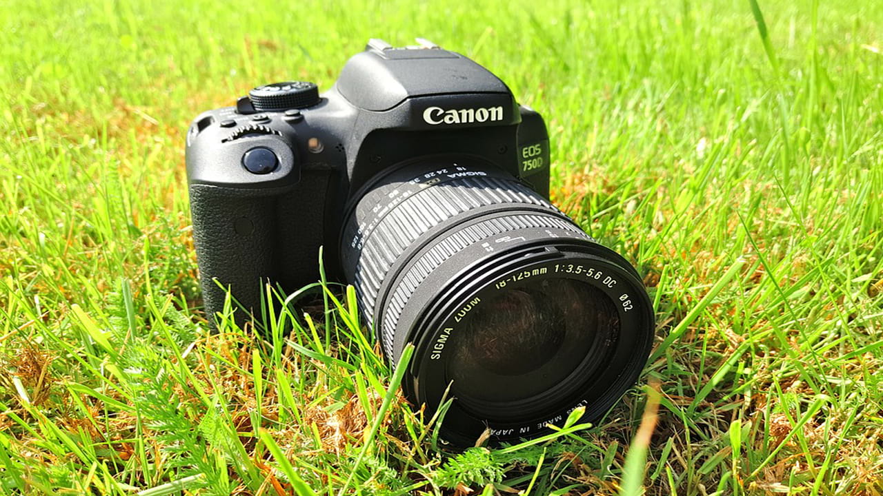 Canon photo