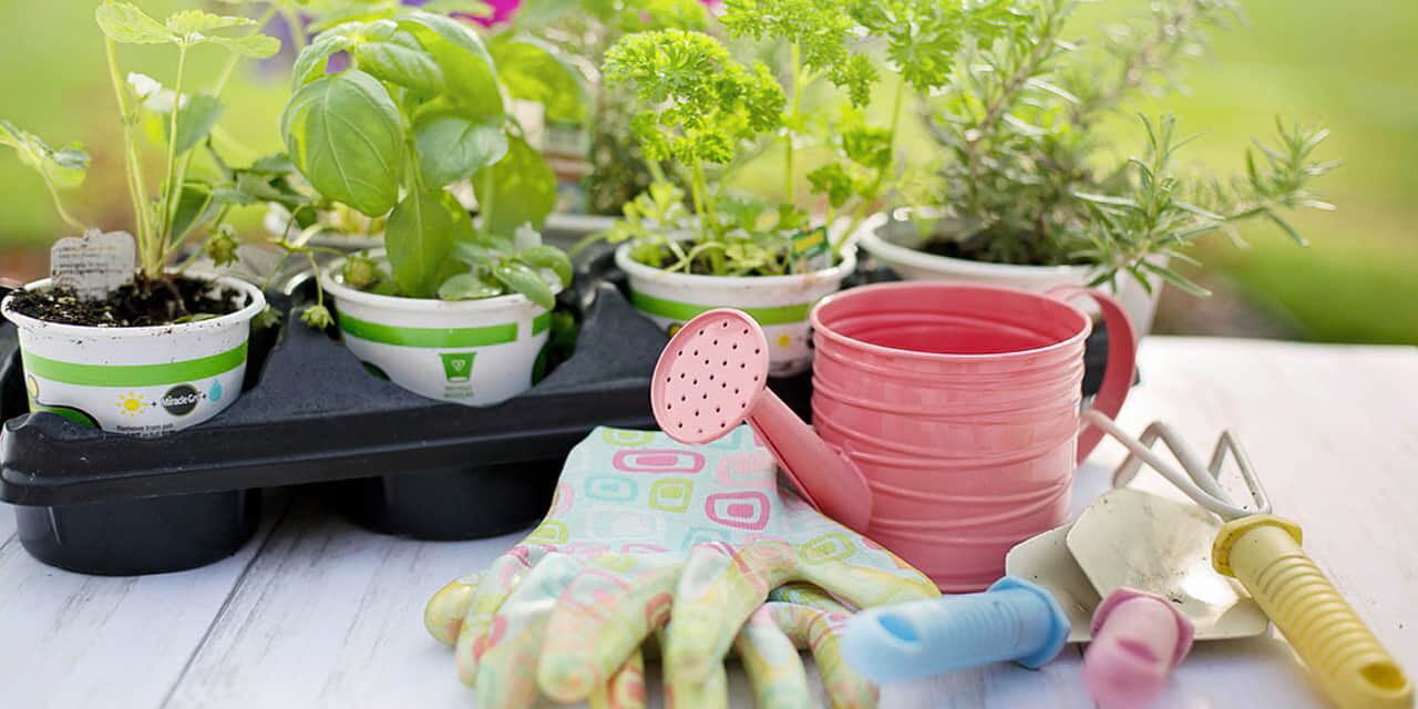 best gardening Hand Tool set