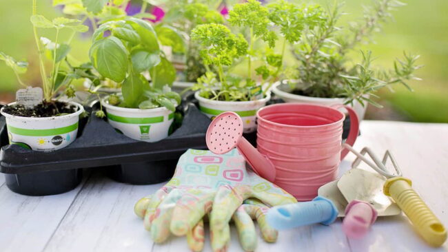 best gardening Hand Tool set best gardening Hand Tool set