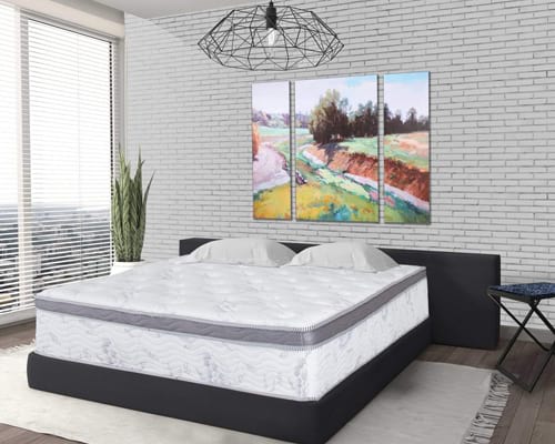 Olee Sleep 12 inch Hybrid Euro Box Top Pocket Spring Mattress (Queen) Olee Sleep 12 inch Hybrid Euro Box Top Pocket Spring Mattress (Queen)