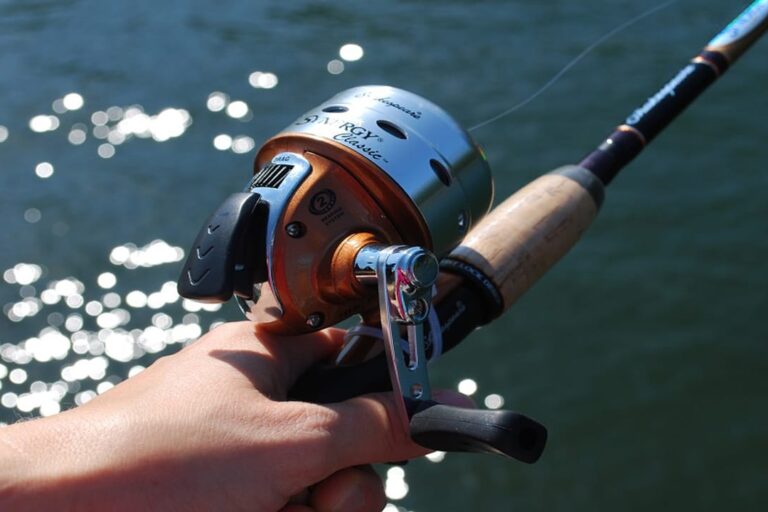 Best Beginner Fishing Rod and Reel