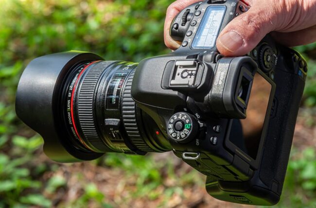 Best Beginner Professional DSLR Camera