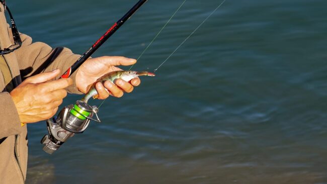 Best fishing reels best fishing reels