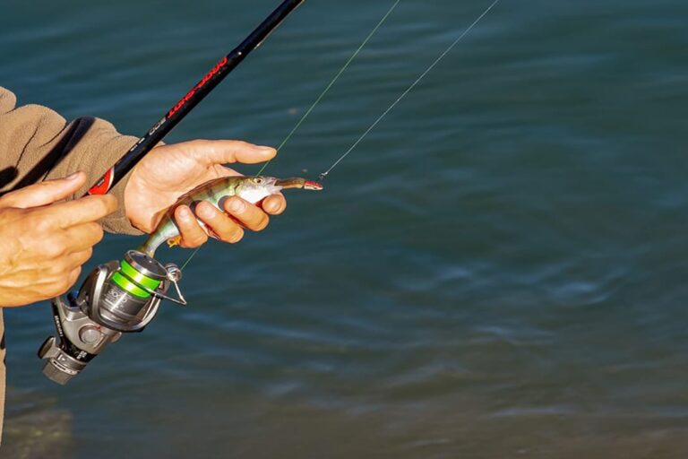 best fishing reels