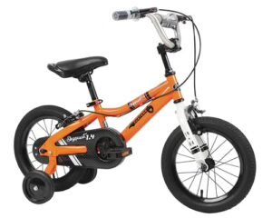 Duzy Customs Skyquest Bike Duzy Customs Skyquest Bike