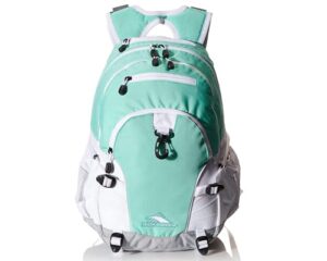 High Sierra Loop-Backpack, School, Travel