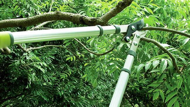 best tree loppers best tree loppers