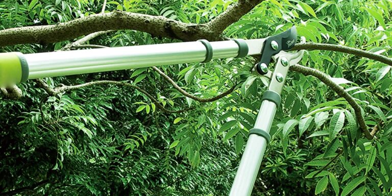best tree loppers