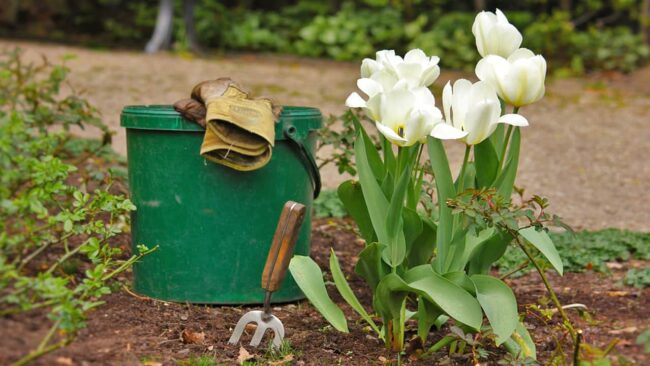 gardening tools under 100