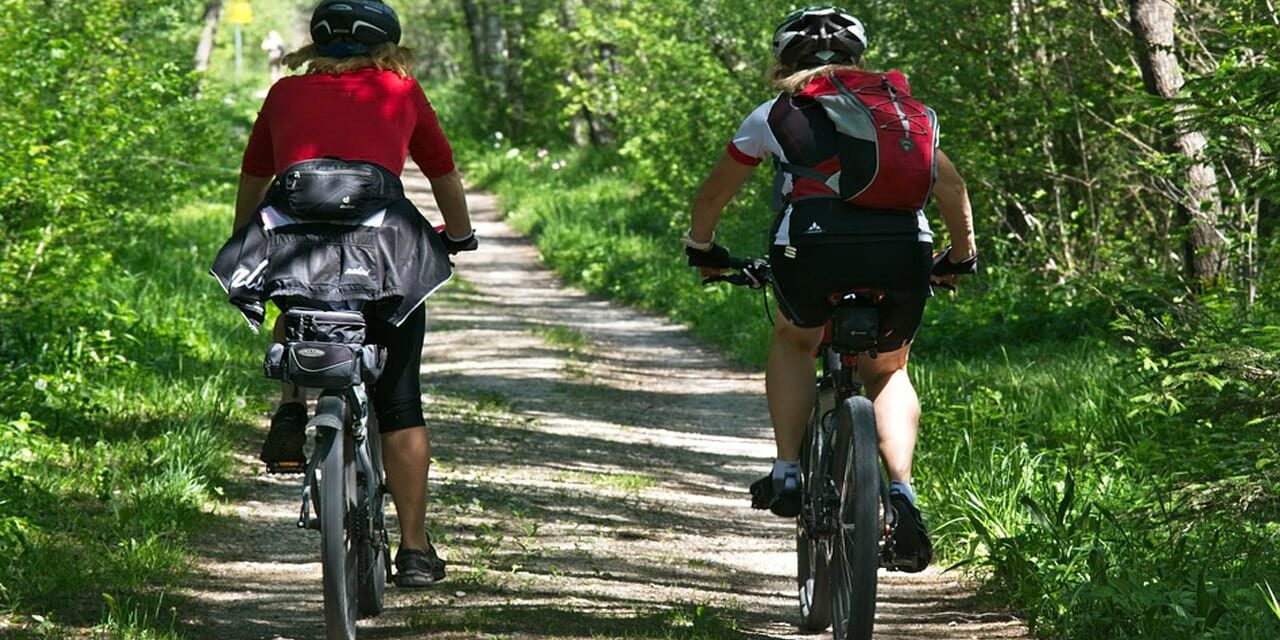 Best Mountain Bike Under 700 Best Mountain Bike Under 700