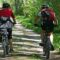 Best Mountain Bike Under 700