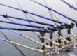 best fishing rods