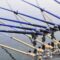 best fishing rods