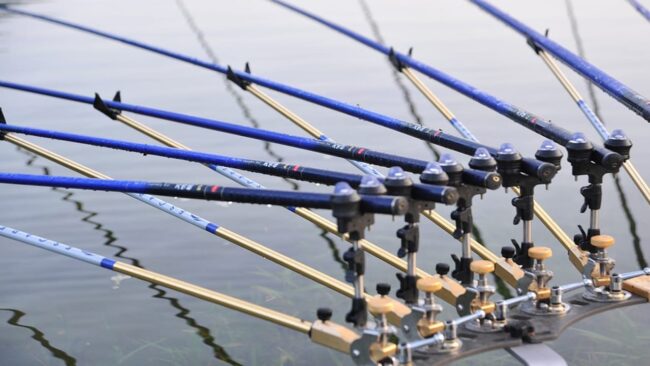best fishing rods