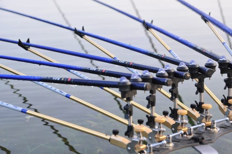 best fishing rods